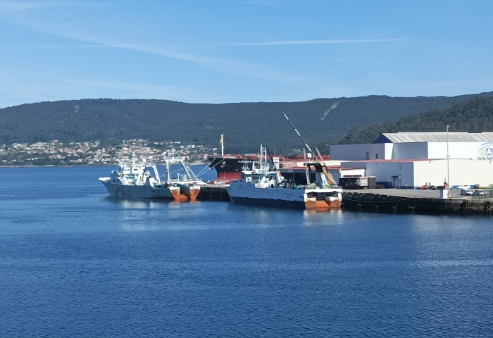 Puerto de Marín - pesca malvinas