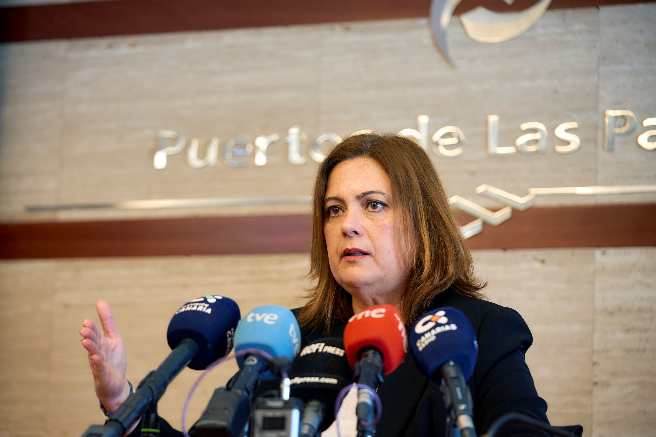 Presentación Plan Estratégico de Puertos de Las Palmas
