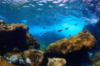 El Hierro