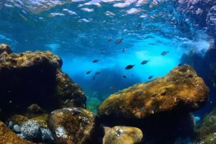 El Hierro