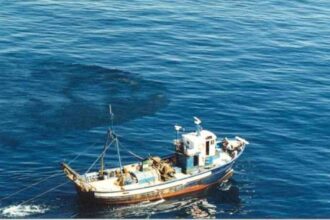 pesca - barco