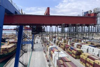VCFI- Valenciaport