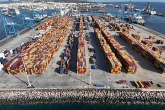 Puerto de Las Palmas - opcsa panorámica