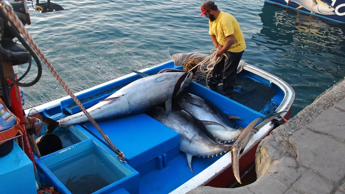Canarias