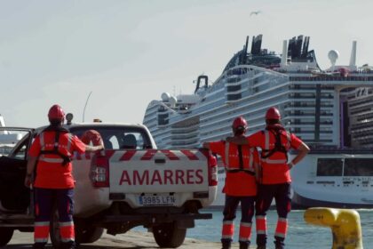 dmax - puertos