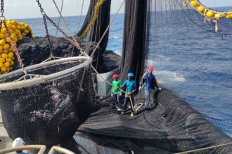 flota atunera española - empleAtún