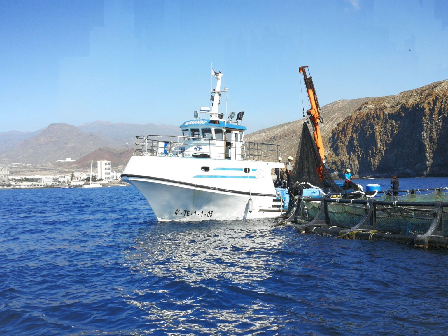 Canarias - pesquero