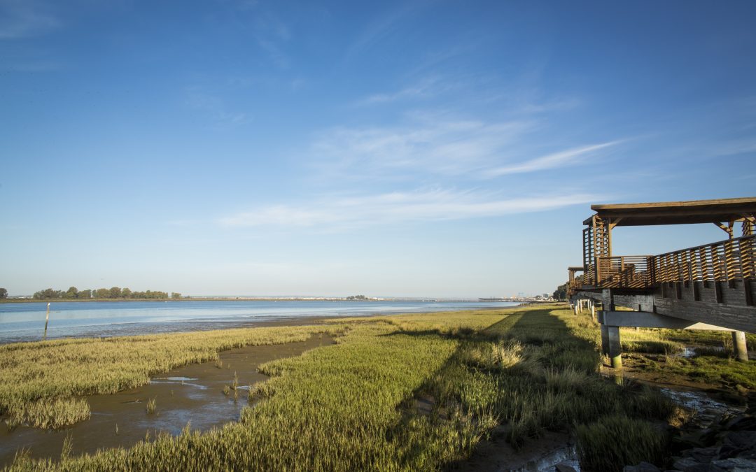 Puerto de Huelva