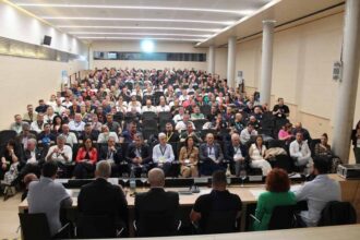 coordinadora - portuario