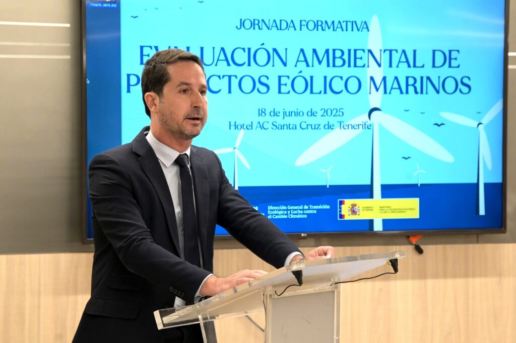 eólica marina - Canarias