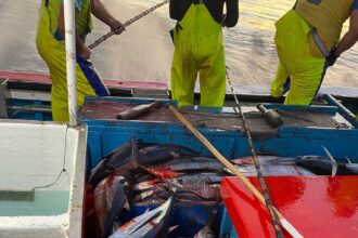 pesca