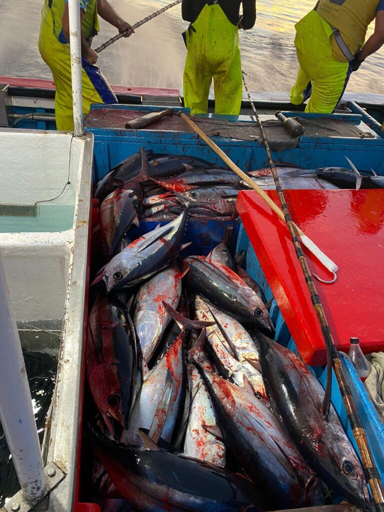 pesca