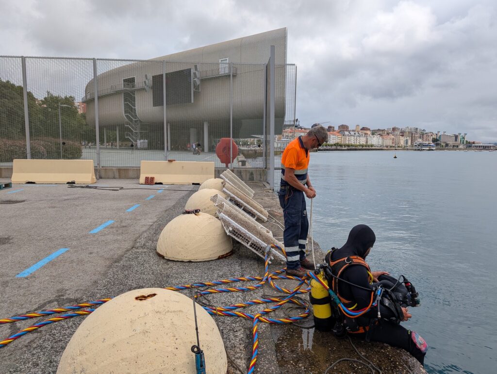 Puerto de Santander