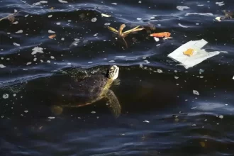microplásticos