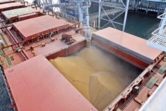 exportaciones cereal