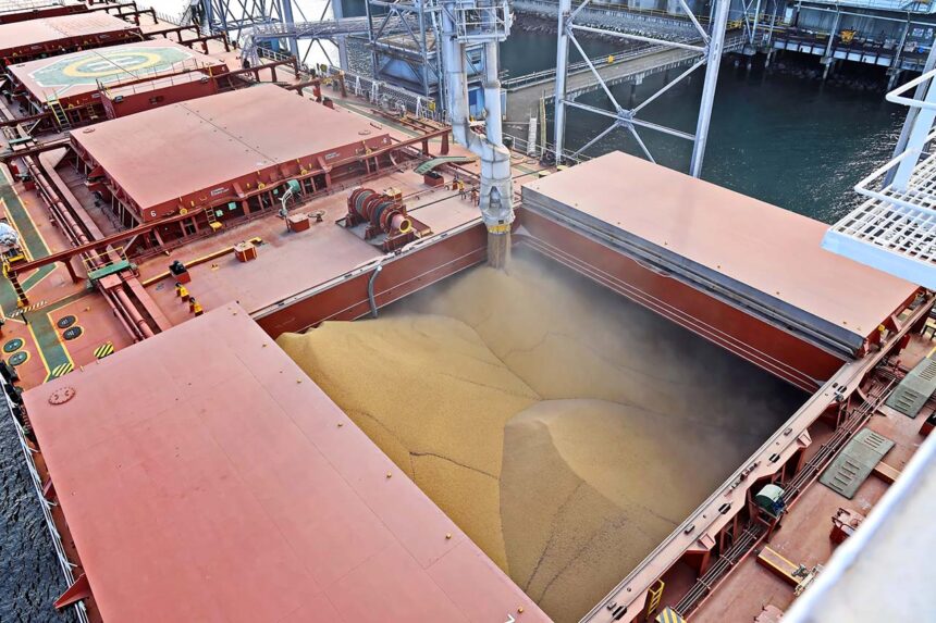exportaciones cereal