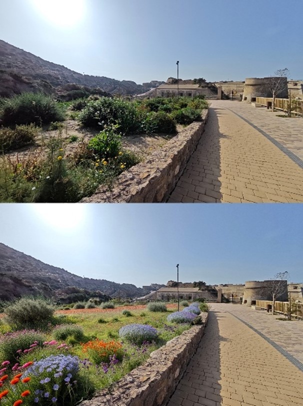 Puerto de Cartagena