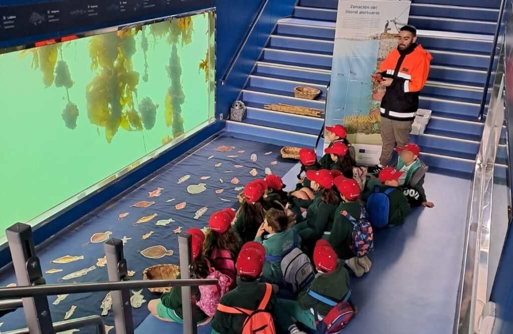 Puerto de Vigo - animales