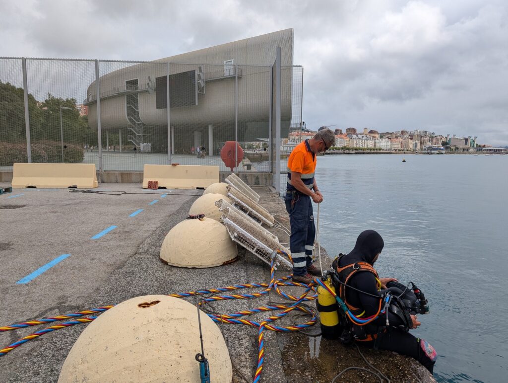 Puerto de Santander