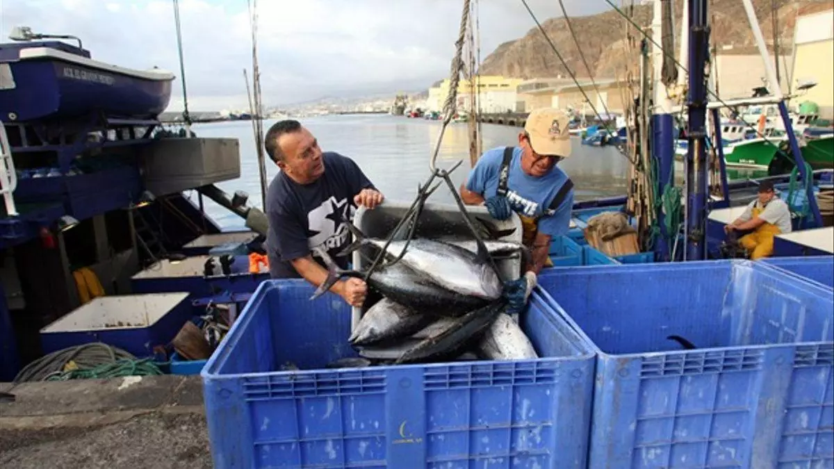 Canarias - pesca