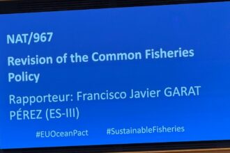 PPC - Comité Económico y Social Europeo