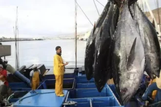 Las Palmas