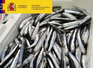 anchoa