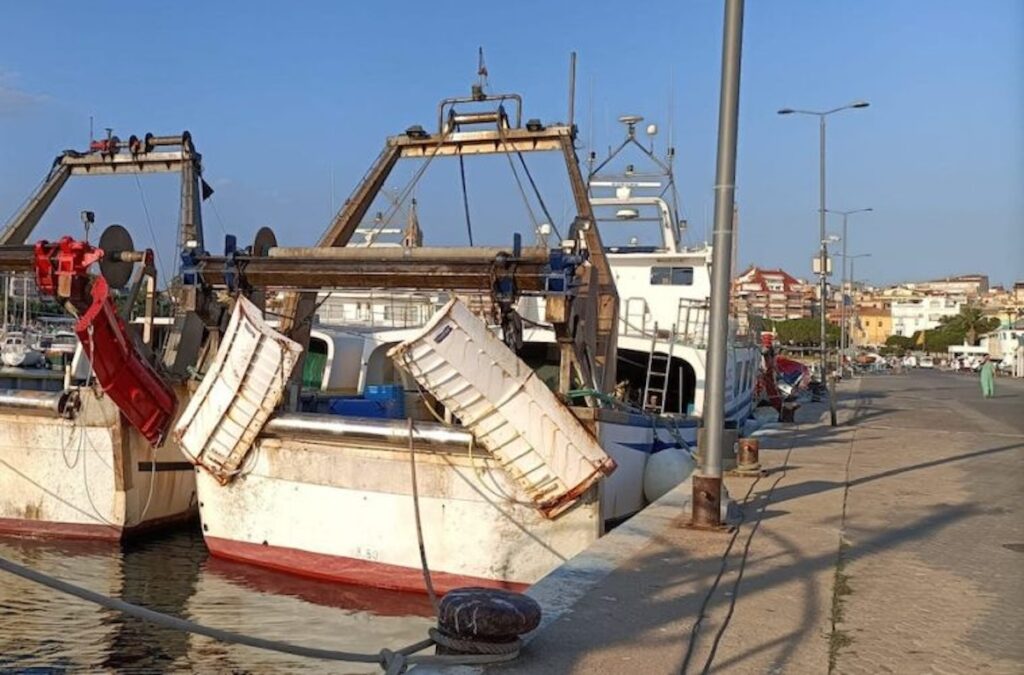 pesca - flota del mediterráneo