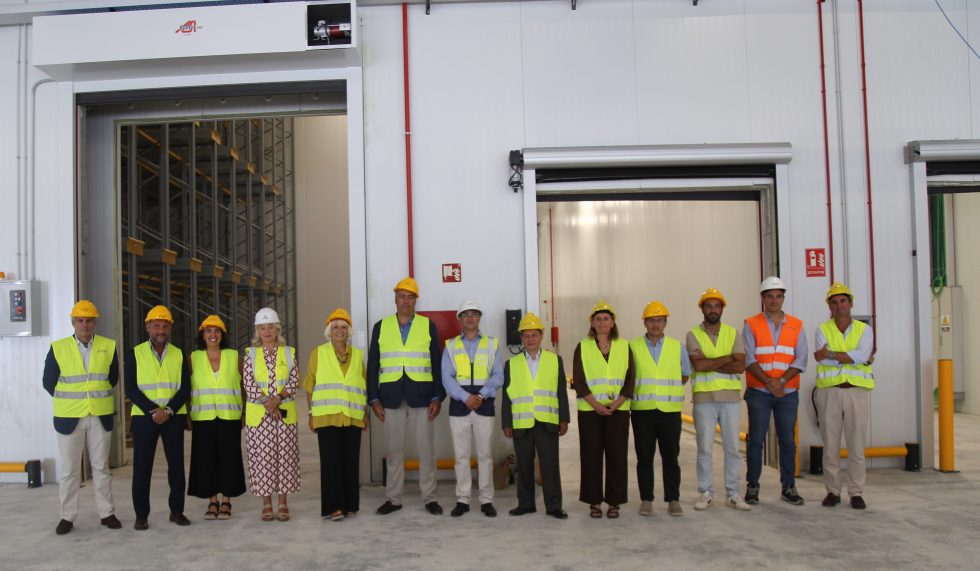 Puerto de Cádiz - PTP Group