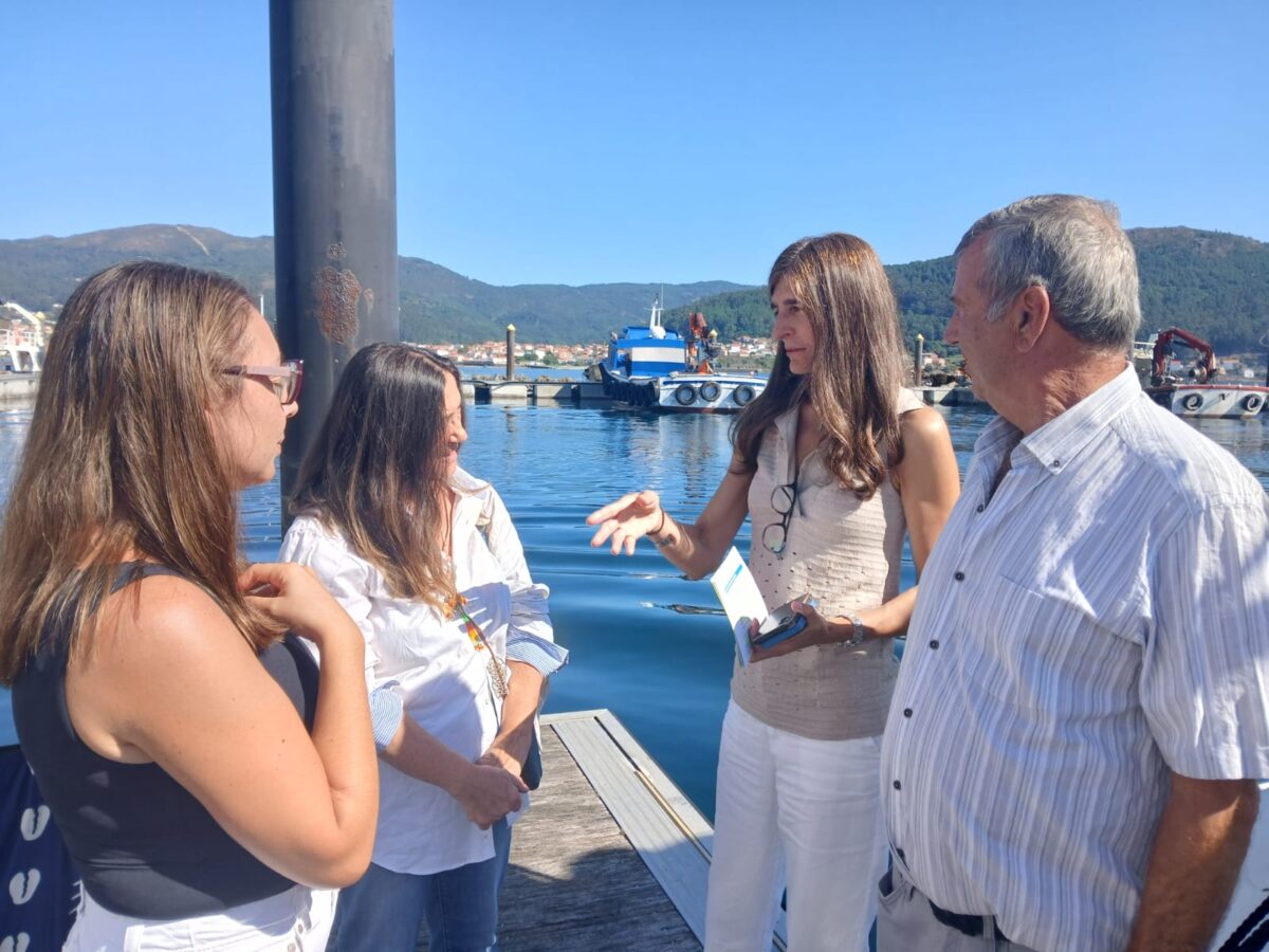 Puertos de Galicia - PortosBalanceTránsitosMuros