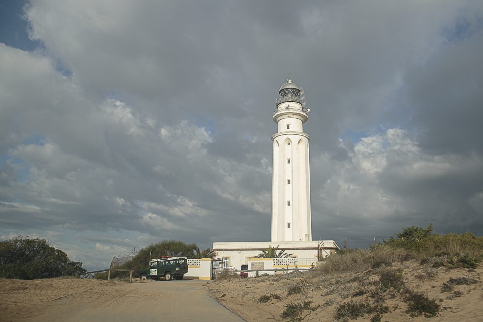 Faro